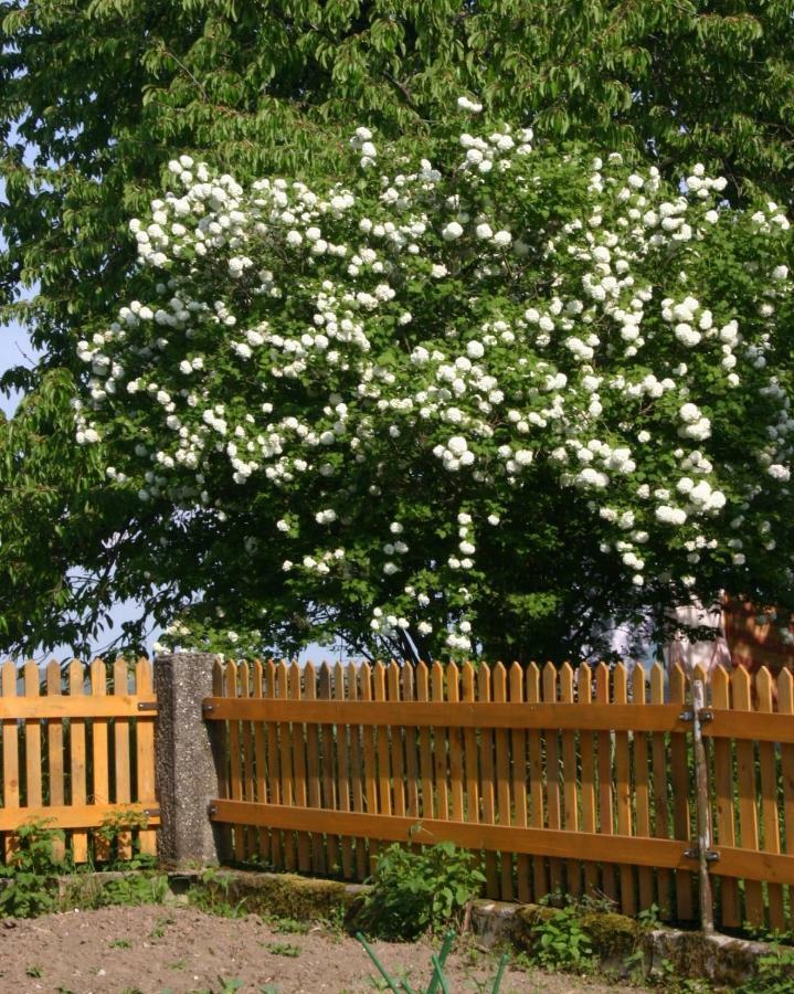 Reiterbauernhof Schoenlehenhof Mank 외부 사진