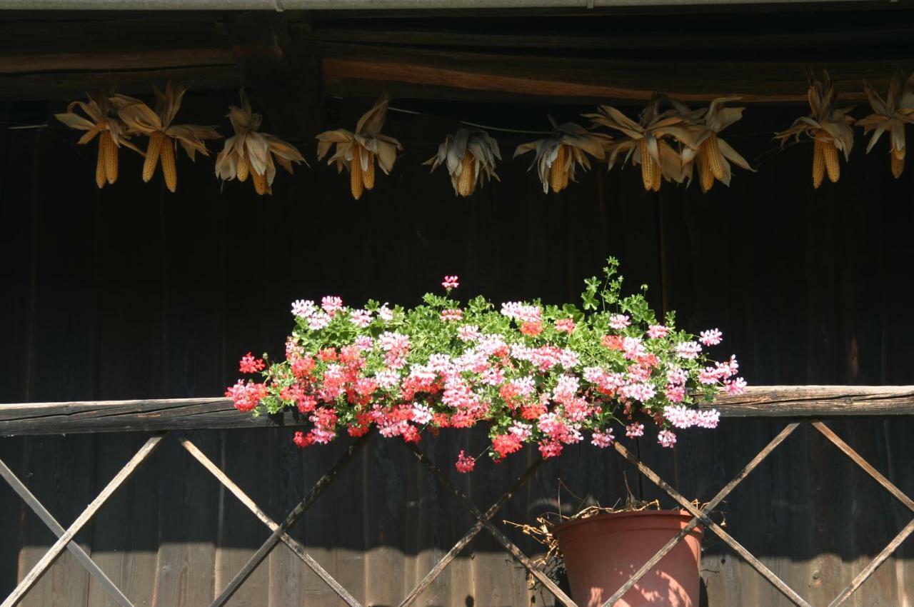 Reiterbauernhof Schoenlehenhof Mank 외부 사진